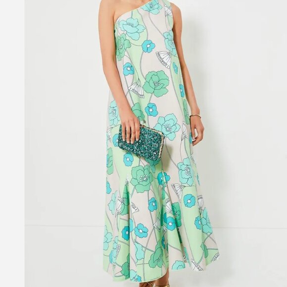 Tuckernuck Dresses & Skirts - Hyacinth House Green and Blue Floral Sabine Maxi Dress